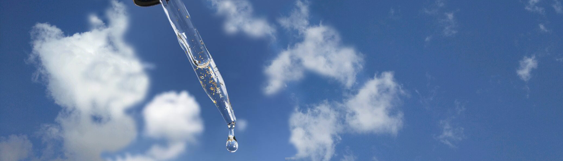 banner002